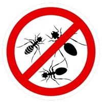 Preventive Measures