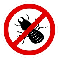 Termite Service